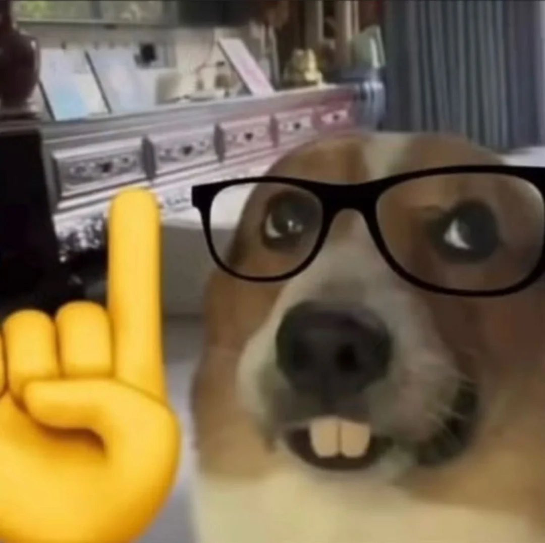 Dog with super-imposed glasses, buck teeth, and finger pointing up